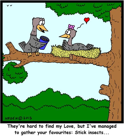 'They're hard to find my Love, but I've managed to gather your favourites: Stick insects...'