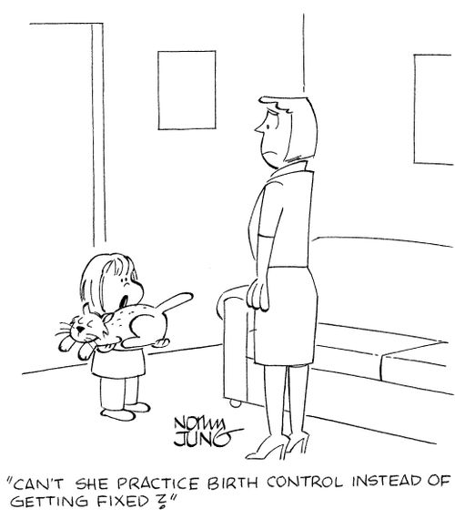 'Can't she practice birth control instead of getting fixed?'