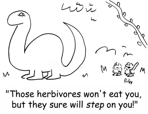 'Those herbivores won't eat you, but they sure will step on you!'