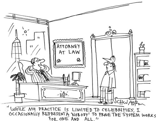 'While my practice is limited to celebrities, I occasionally represent a 'nobody' to prove the system works for one and all.'