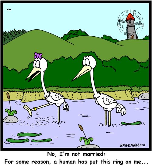 'No, I'm not married: For some reason, a human has put this ring on me...'