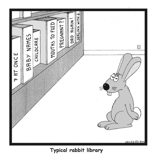 Typical Rabbit Library