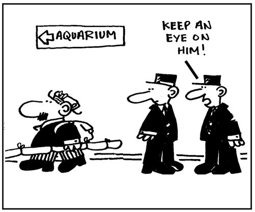 Aquarium - keep an eye on him!