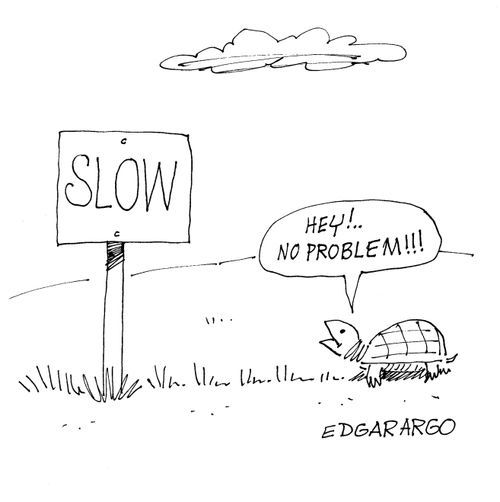 Sign reading Slow.