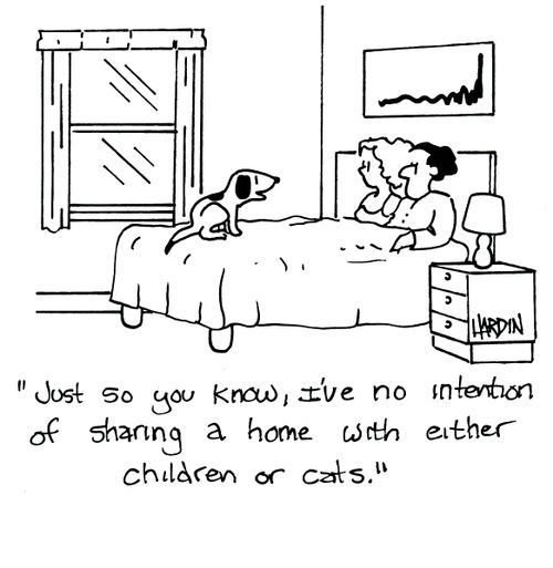 'Just so you know, I've no intention of sharing a home with either children or cats.'