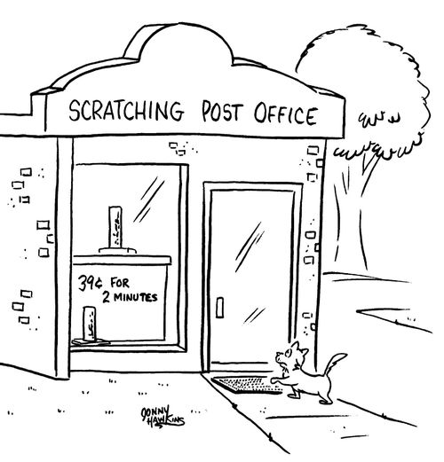Cat entering 'Scratching Post Office'.