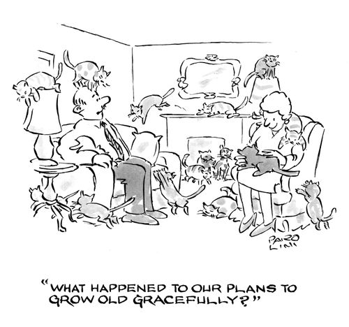'What happened to our plans to grow old gracefully?'