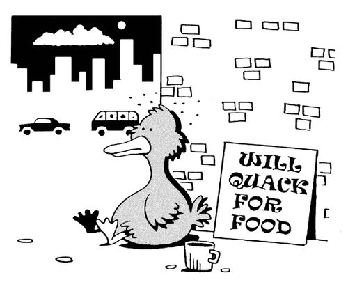 Will quack for food.