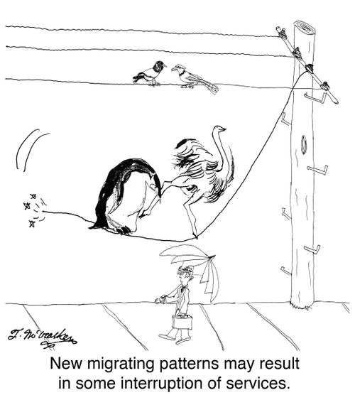 New migrating patterns may result in some interruption of services.