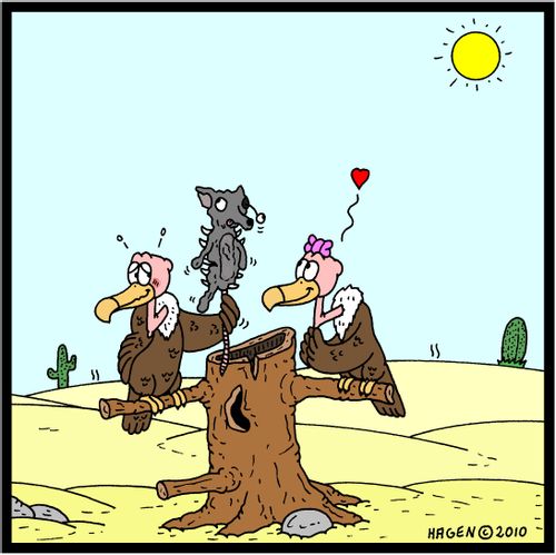 Vulture in Love