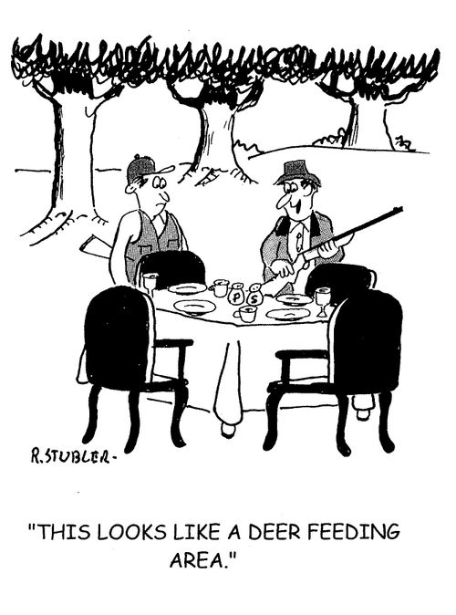 'This looks like a deer feeding area.'