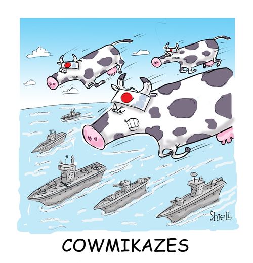 Kamikaze Colour