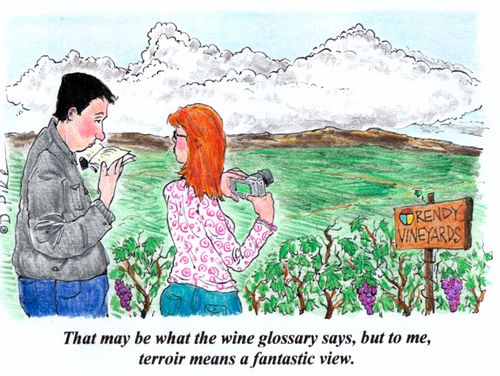 'That may be what the wine glossary says, but to me, terroir means a fantatic view.'