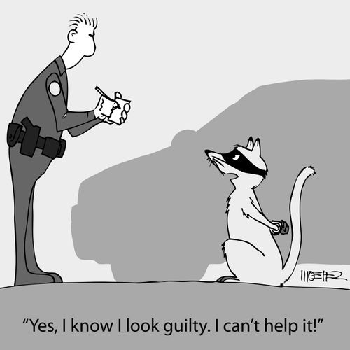 'Yes, I know I look guilty. I can't help it!'