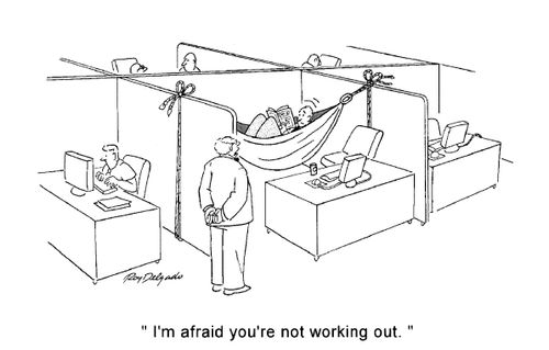 'I'm afraid you're not working out.'