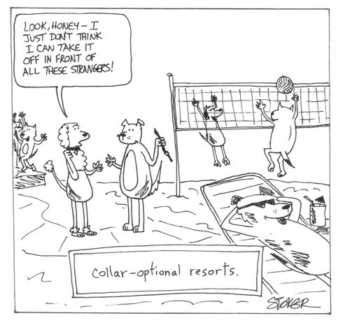 'Collar-optional resorts.'