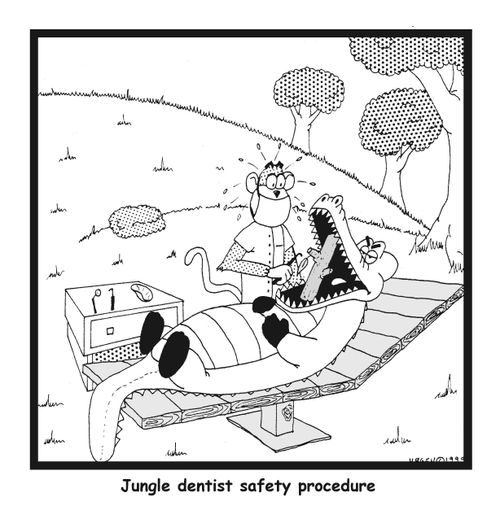 Jungle Dentist Procedure