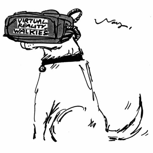 Virtual Reality Walkies
