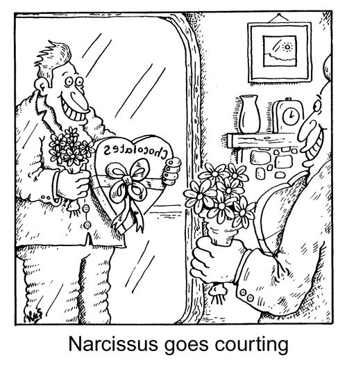 'Narcissus goes courting'