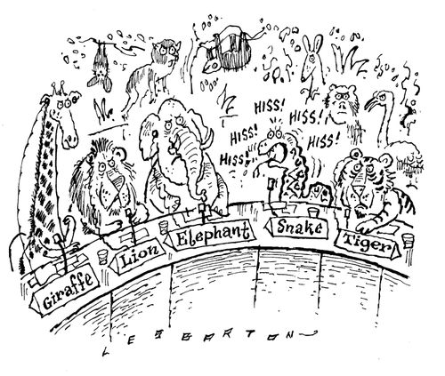 Animal Conference