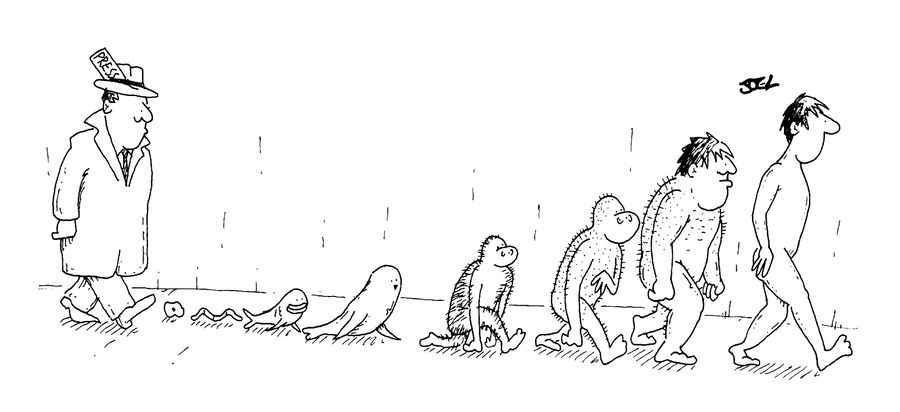 Evolution 2