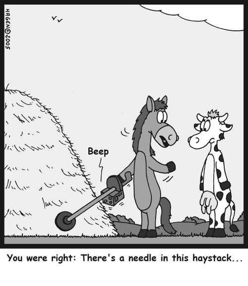 'You were right: There's a needle in this haystack...'