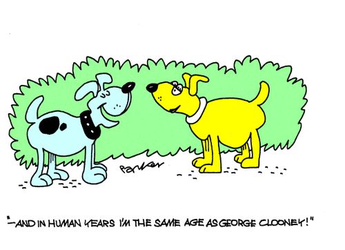 '-and in human years I'm the same age as George Clooney!'