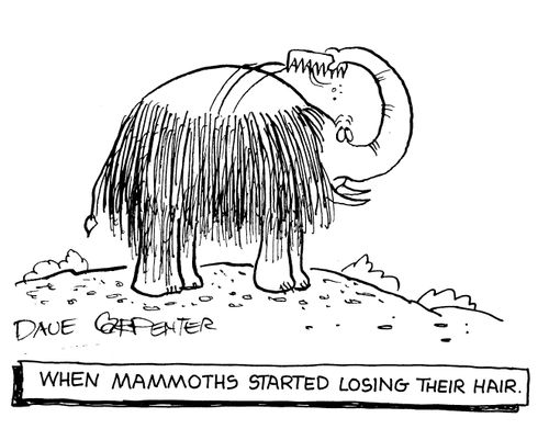 When mammoths started losing their hair.