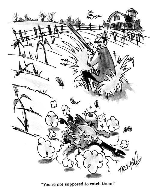 'You're not supposed to catch them!'