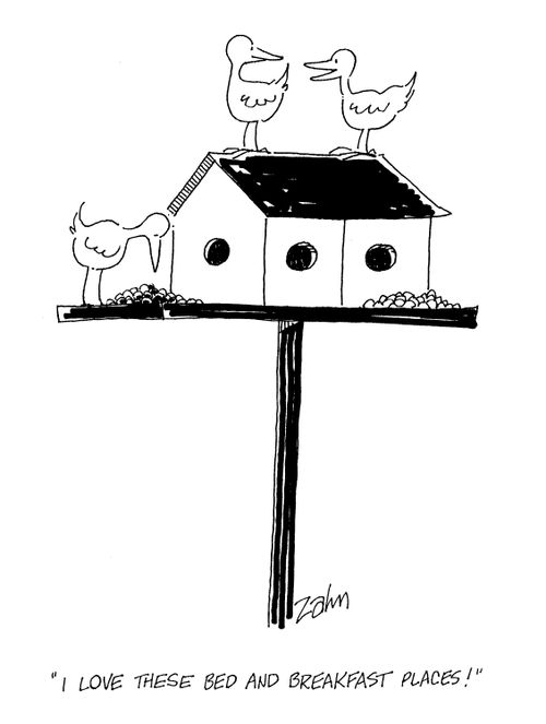 'I love these bed and breakfast places.'