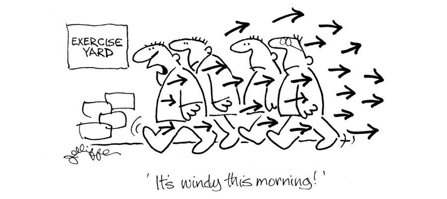 'It's windy this morning.'