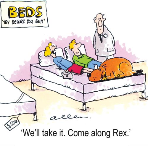 'We'll take it. Come along Rex.'