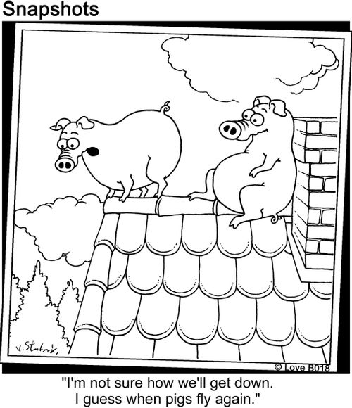 "I'm not sure how we'll get down. I guess when pigs fly again."