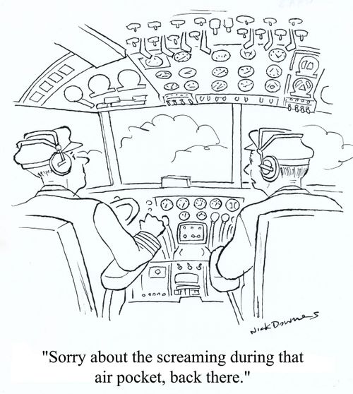 'Sorry about the screaming during that air pocket, back there.'