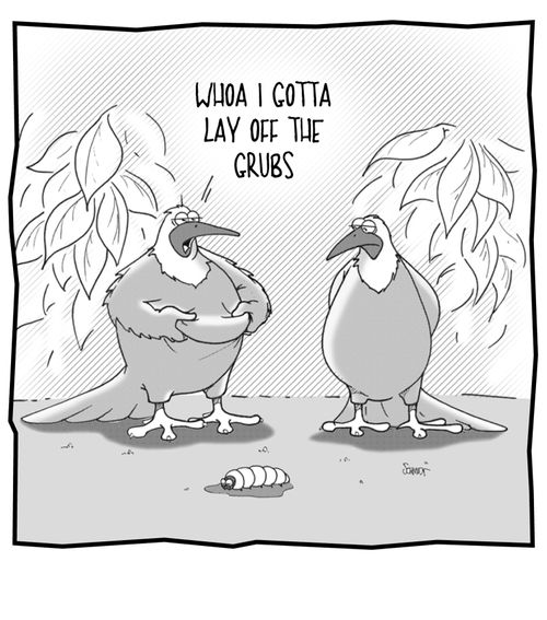 'Whoa, I gotta lay off the grubs.'