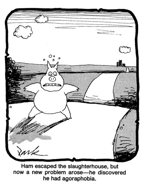 Ham escaped from the slaughterhouse, but now a new problem arose - he discovered he had agoraphobia.