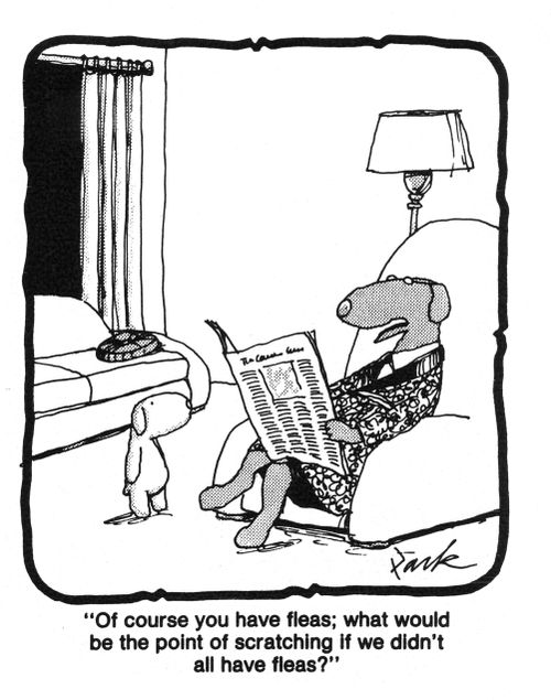 'Of course you have fleas, what would be the point of scratching if we didn't all have fleas?'