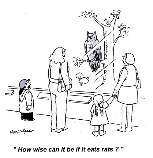 'How wise can it be if it eats rats?'