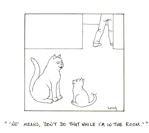 ''No' means, 'Don't do that while I'm in the room.''