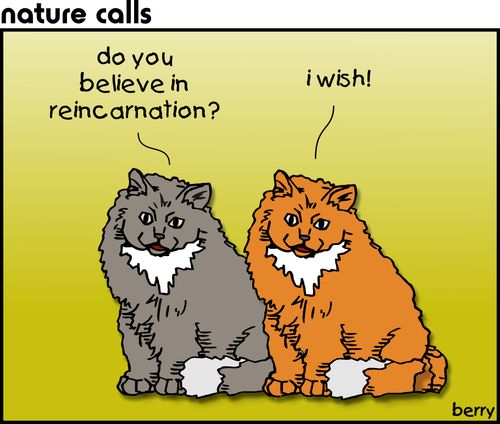 Reincarnation.