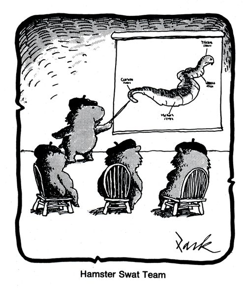 'Hamster Swat Team.'