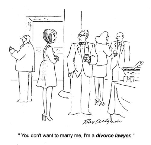 'You don't want to marry me. I'm a divorce lawyer.'
