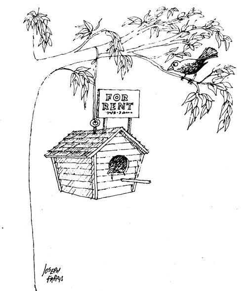 'For rent'