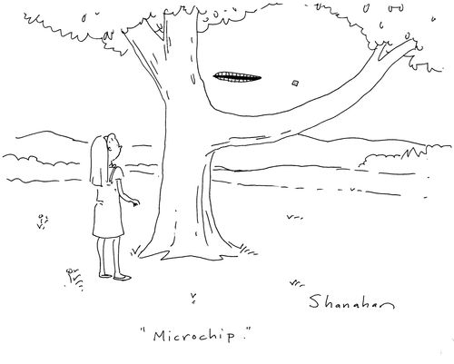 'Microchip.'