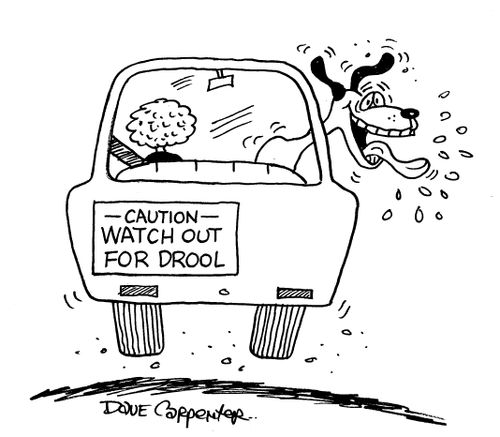 Caution- Watch Out For Drool.