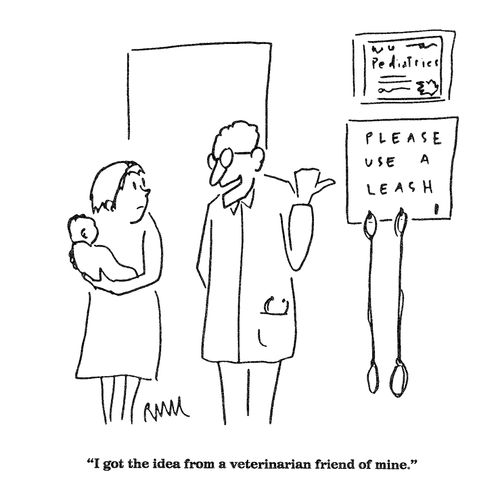 'I got the idea from a veterinarian friend of mine.'