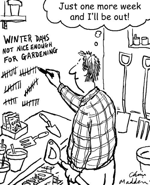 'Winter days not nice enough for gardening.'