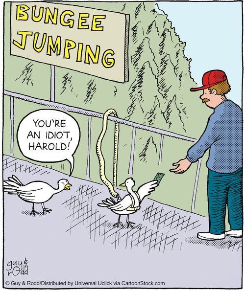 'You're an idiot, Harold!'