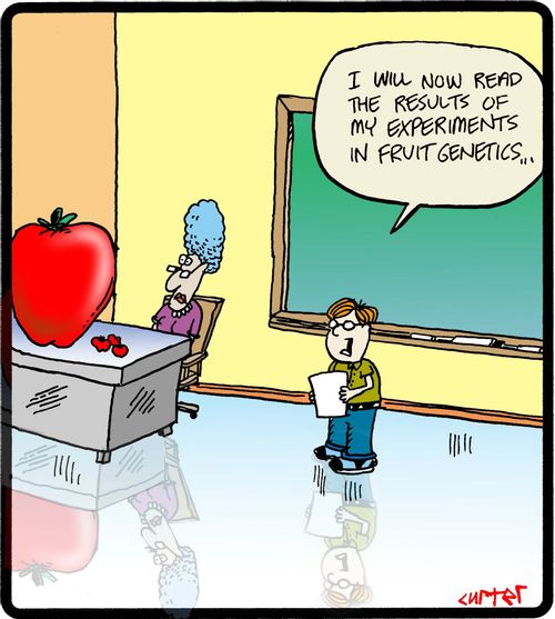'I will now read the results of my experiments in fruit genetics. . .'