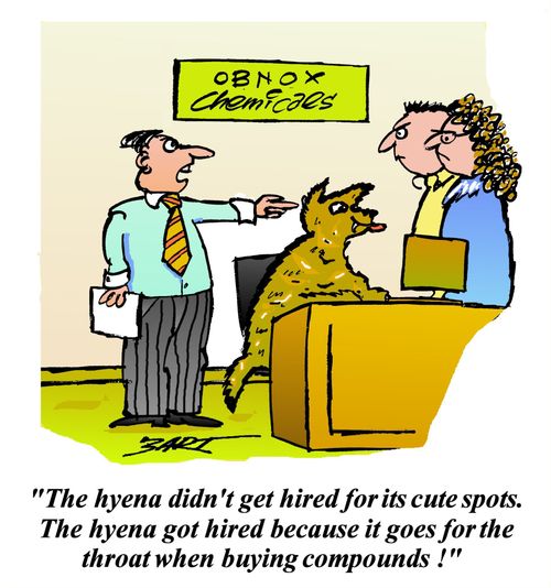 'They hyena didn't get hired for its cute spots. They hyena got hired because it goes for the throat when buying compounds!'